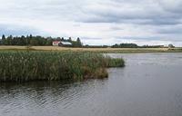 Kantelejärvi